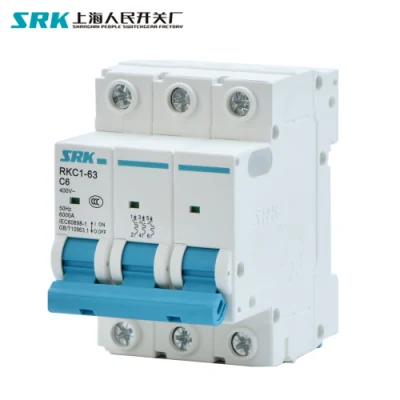 5 Year Warranty Factory Price 4.5ka 6ka 380V 400V 415V 50Hz 60Hz 2 Poles Dp 10 AMP MCB 2p 10A