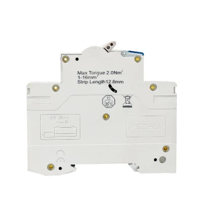 Miniature Circuit Breaker MCB Electrical Safety 6ka 400V 2p 10A Mini AC Dp Circuit Breaker