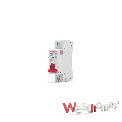 ODM/OEM Wsb1 Miniature Circuit Breaker 1p 2p 3p 4p 6A 16A 20A 40A 63A 80A AC 230V/400V MCB