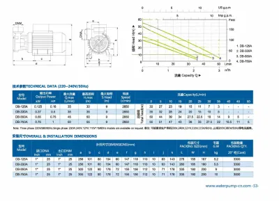 Single Phase Peropheral Pumps 100%Copper Wire dB Domestic Water Pump