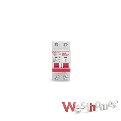 ODM/OEM Wsb1 Miniature Circuit Breaker 1p 2p 3p 4p 6A 16A 20A 40A 63A 80A AC 230V/400V MCB