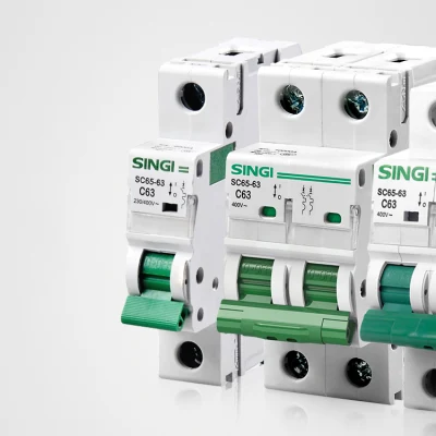 Manual Type DIN Rail Mounting Singi Mini Electric Circuit Breaker