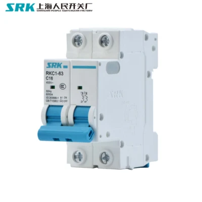 5 Year Warranty Factory Price 4.5ka 6ka 380V 400V 415V 50Hz 60Hz 2 Poles Dp 10 AMP MCB 2p 10A