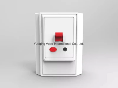RCCB, RCBO, ID Breaker, MCCB, Mini Circuit Breaker, Circuit Breaker, Switch, RCD MCB RCCB for Refrigerator Leakage Protecting