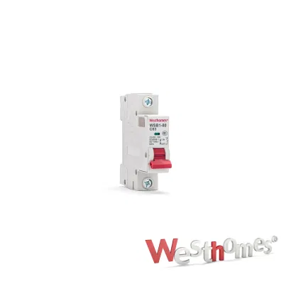 ODM/OEM Wsb1 Miniature Circuit Breaker 1p 2p 3p 4p 6A 16A 20A 40A 63A 80A AC 230V/400V MCB