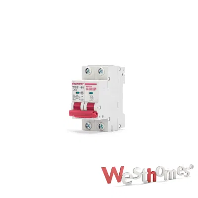 ODM/OEM Wsb1 Miniature Circuit Breaker 1p 2p 3p 4p 6A 16A 20A 40A 63A 80A AC 230V/400V MCB