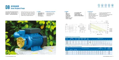 Single Phase Peropheral Pumps 100%Copper Wire dB Domestic Water Pump