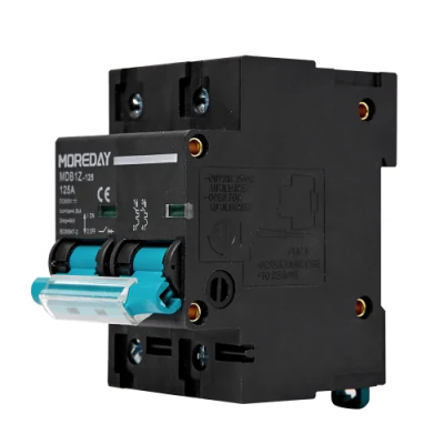 High Quality DC MCB 12V 24V 48V 500V 1000V Solar PV Miniature Circuit Breaker 2p 4p 80A 100A 125A Battery Main Switch