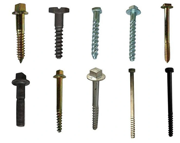 Economical Custom Design Stainless Steel Long Screw Spikes