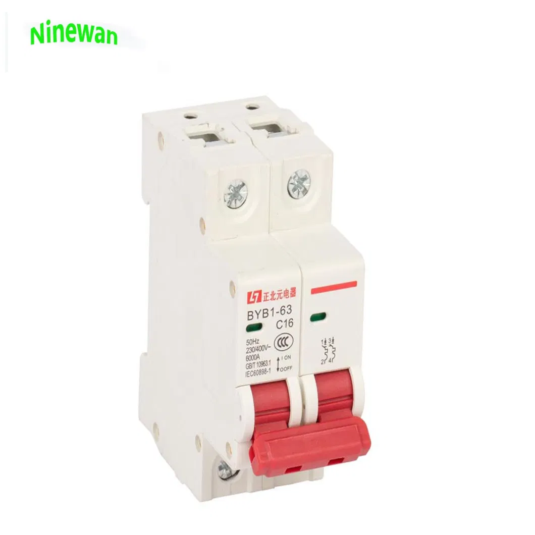 Open Electric 15A 16A 20AMP 25A 30A 60A 63A 30V 50/60Hz Double Pole AC Miniature Rail Volt Circuit Breakers MCB