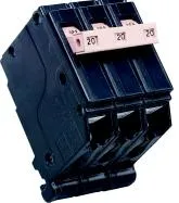 CH2100 Equivalent 2 Pole 100 AMP 2p 100A 120V 240V 10ka Thermal Magnetic Circuit Breaker for Loadcenter