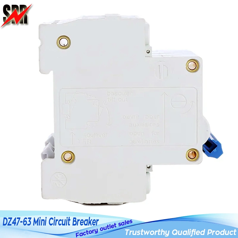 Dz47-63 1p, 2p, 3p, 4p Mini Circuit Breaker (DZ47 1P 2P 3P 4P MCB) , Dz47-63 Series Miniature Circuit Breakers