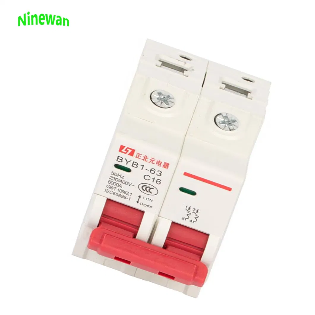 Open Electric 15A 16A 20AMP 25A 30A 60A 63A 30V 50/60Hz Double Pole AC Miniature Rail Volt Circuit Breakers MCB