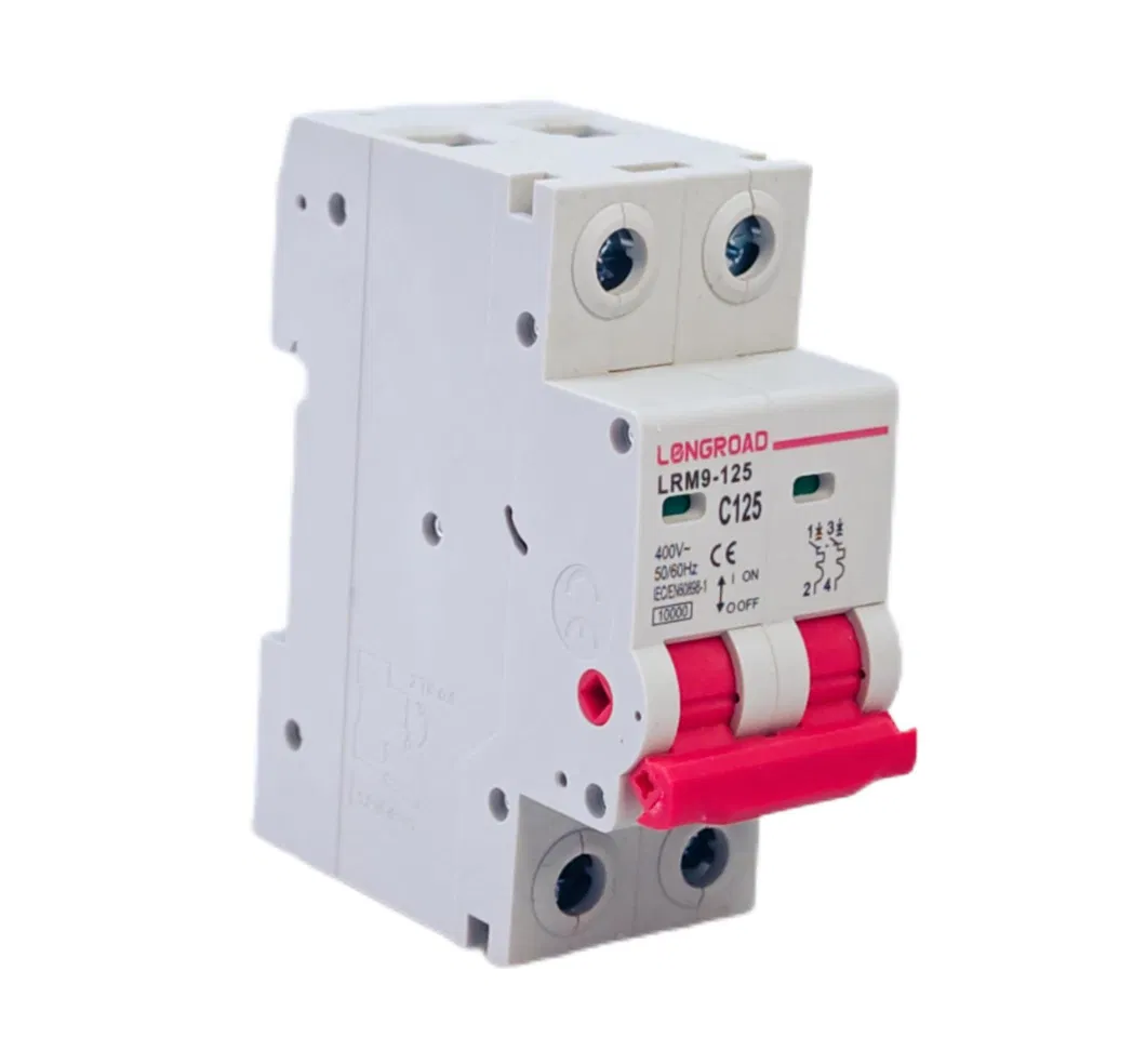 2 Pole 125A 10ka MCB 400V MCB AC Miniature Circuit Breaker with CE Certification