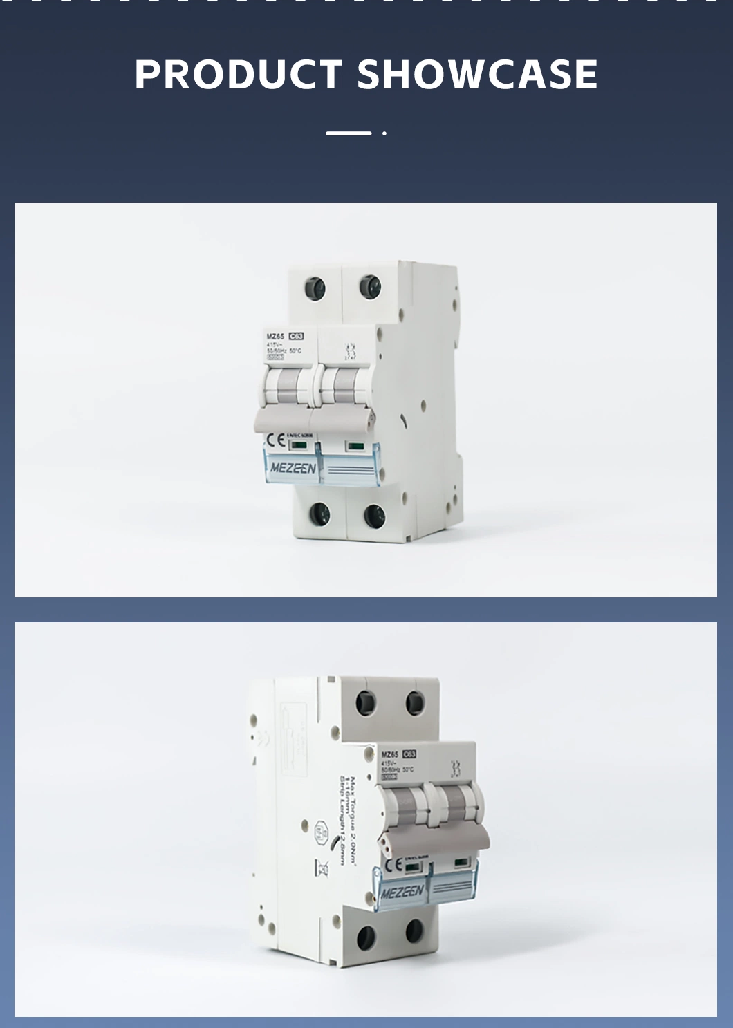 High Quality Short Circuit Protection 6ka 10ka 1-63A 2 Pole U-Type Busbar Terminal Connection Miniature Circuit Breaker MCB