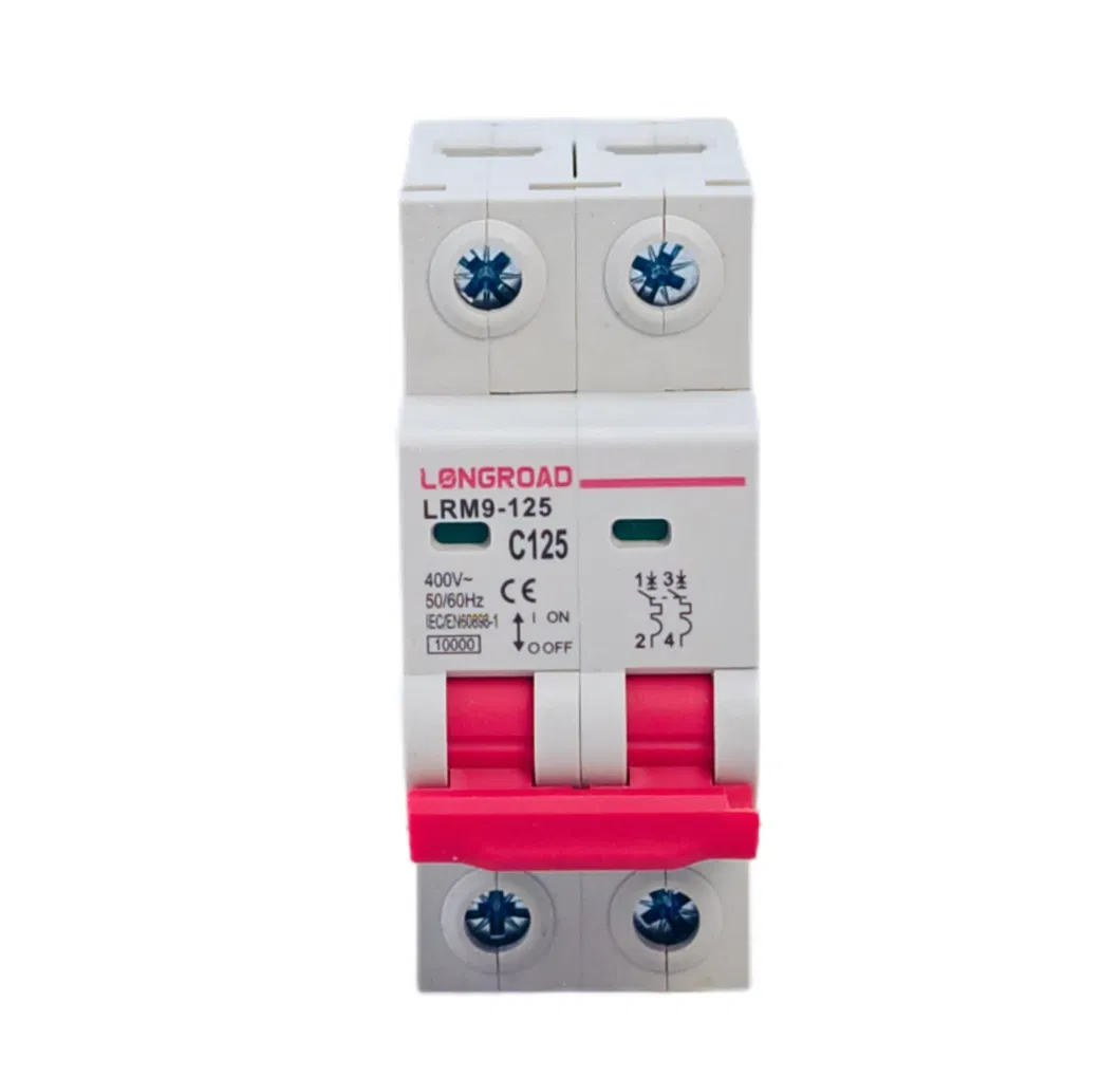 2 Pole 125A 10ka MCB 400V MCB AC Miniature Circuit Breaker with CE Certification