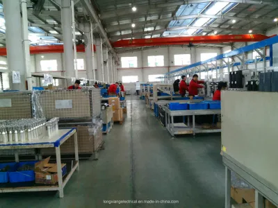  VS1 Interior Disyuntores de vacío con este tipo de informe de ensayo