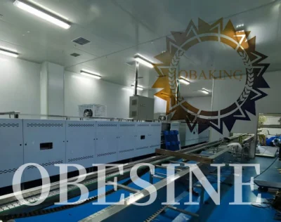 Mejor Proyecto llave en mano de la fábrica de panadería automático de gran capacidad de la línea de maquillaje pastel