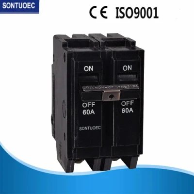  Disyuntor Factory 10kA 110V disyuntor eléctrico 100A MCB