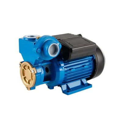 Elestar barato Venta Eléctrica Motor monofásico Periférico bomba de agua (DB)