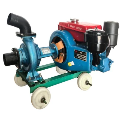  Bomba diésel horizontal con motor Z170fdiesel