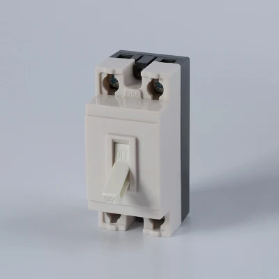 El mejor precio para NT 50 disyuntor de circuito del interruptor de seguridad