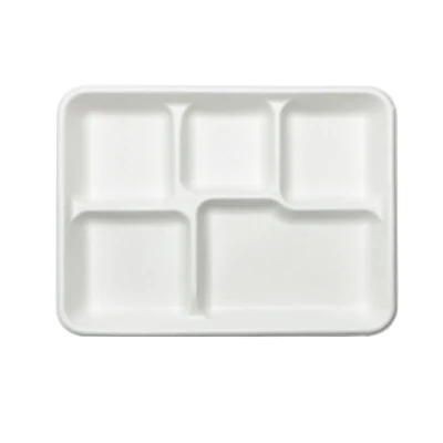  Fabricante de placas desechables biodegradables envases de alimentos de la bandeja de servir de compartimiento de 5 juegos de vajilla