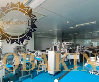 Mejor Proyecto llave en mano de la fábrica de panadería automático de gran capacidad de la línea de maquillaje pastel