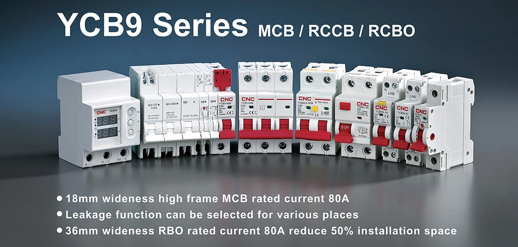 Ycb9-125 Flame Retardant 6ka/10ka 1p 2p 3p 4p 125A IP20 Miniature Circuit Breaker MCB