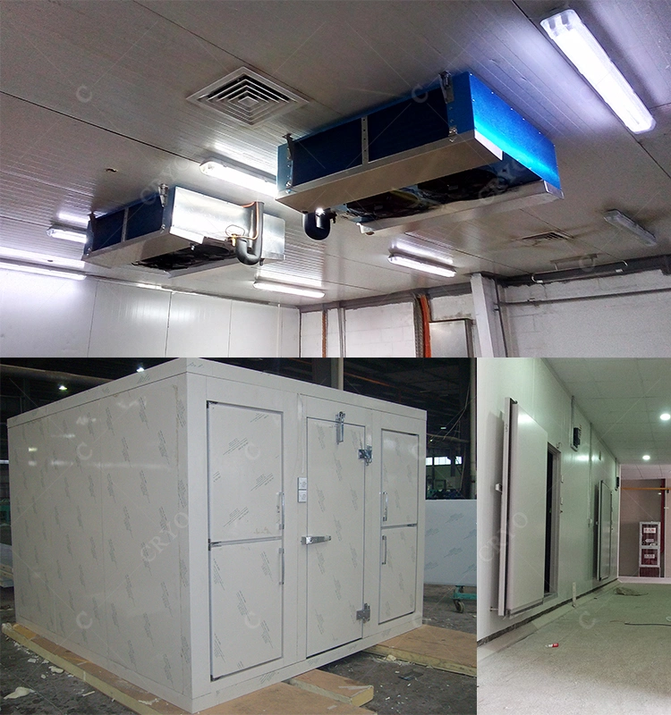 Prefabricated Shrimp Cold Room Freezer