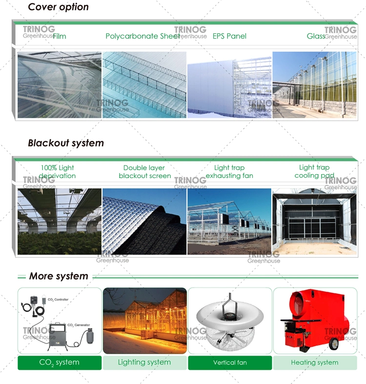 Trinog Greenhouse Commercial used medical herb green house planting house with seeding tray