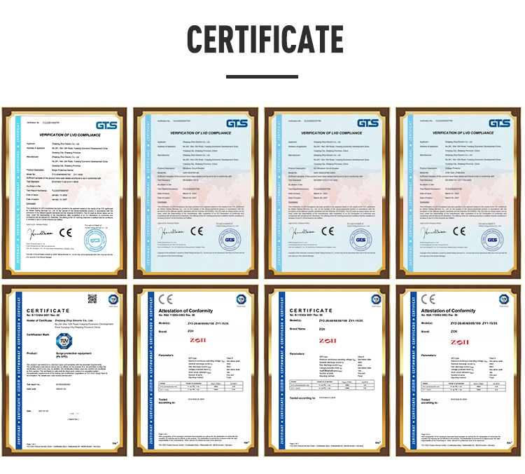 CE Certificates 1000V 40ka SPD AC Surge Lightning Arrester Protective Device Surge Protection Device Protector
