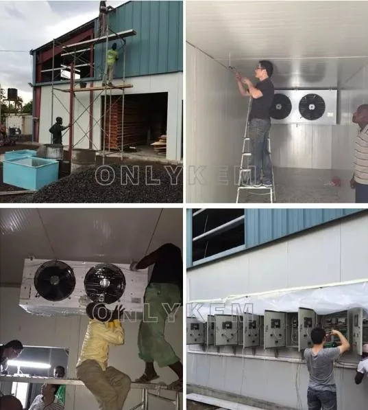 Customized Cold Storage with PU Panels Cold Room Chiller Room with Condensing Unit for Fruit Beer