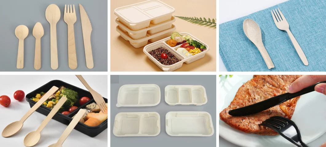 Factory Direct Sales Disposable Food Container Plastic 3-Compartment Light Food Box (DB-114)