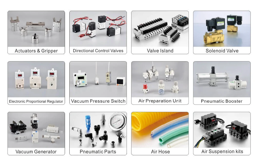 Zse40A (F) Series 2 Colour Display High Precision Digital Pressure Switch