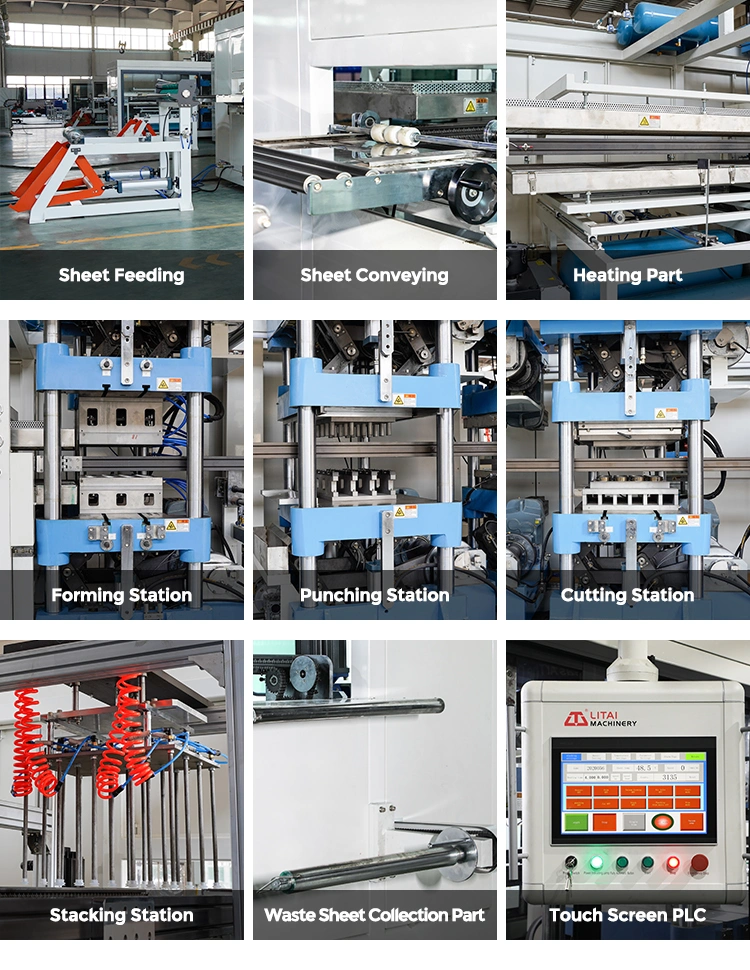 Fully Automatic Cornstarch Biodegrade Pet Food Take Away Container Assembly Machine