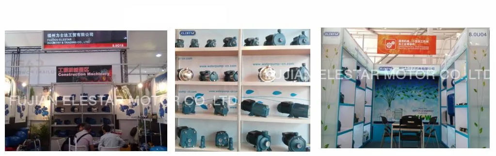 Elestar Cheap Sale Electric Single Phase Motor Peripheral Water Pump (dB)
