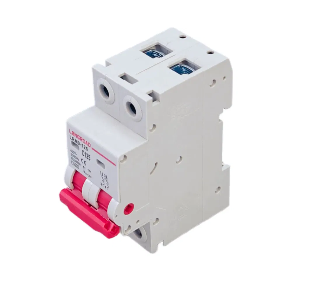 2 Pole 125A 10ka MCB 400V MCB AC Miniature Circuit Breaker with CE Certification