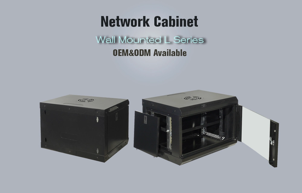 19 Inch Small Server Rack Wall Mount 350*600*450 in mm
