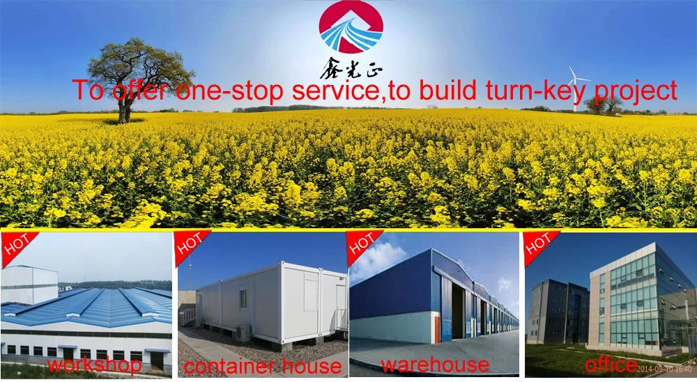 Metal Frame House Pre Engineered Modular Steel Structure Buildings