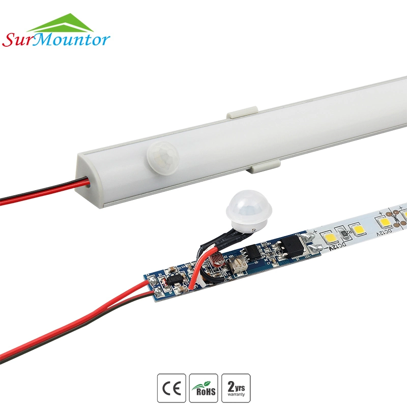 Lss002 12V DC Mini LED Light PIR Motion Sensor with Light Sensor Switch
