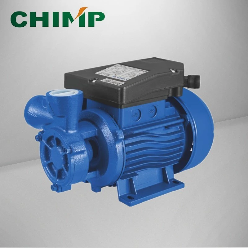 Chimp Household 0.5HP Single Phase dB Vortex Water Pump