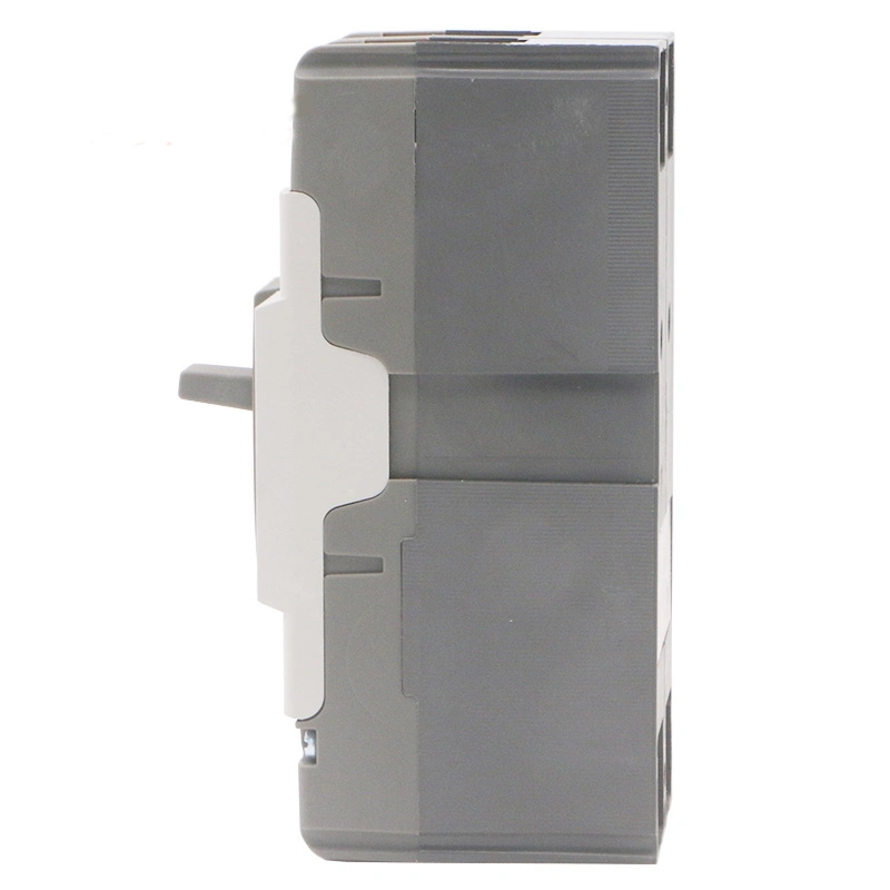 25ka 1p 100A Mini MCCB Moulded Case Circuit Breaker AC 230V, 230/400V