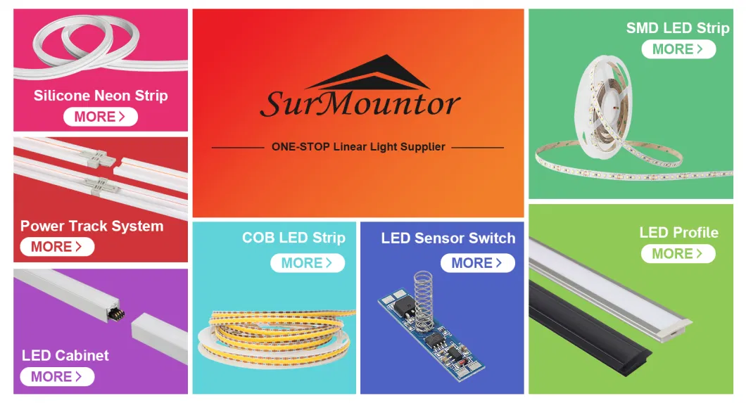 Lss002 12V DC Mini LED Light PIR Motion Sensor with Light Sensor Switch
