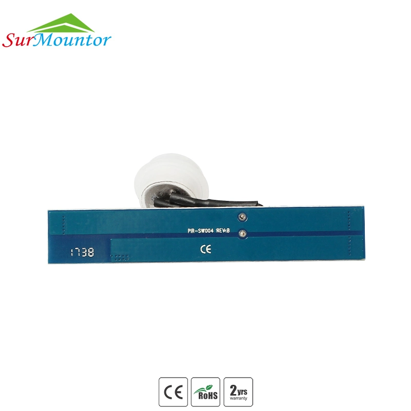 Lss002 12V DC Mini LED Light PIR Motion Sensor with Light Sensor Switch