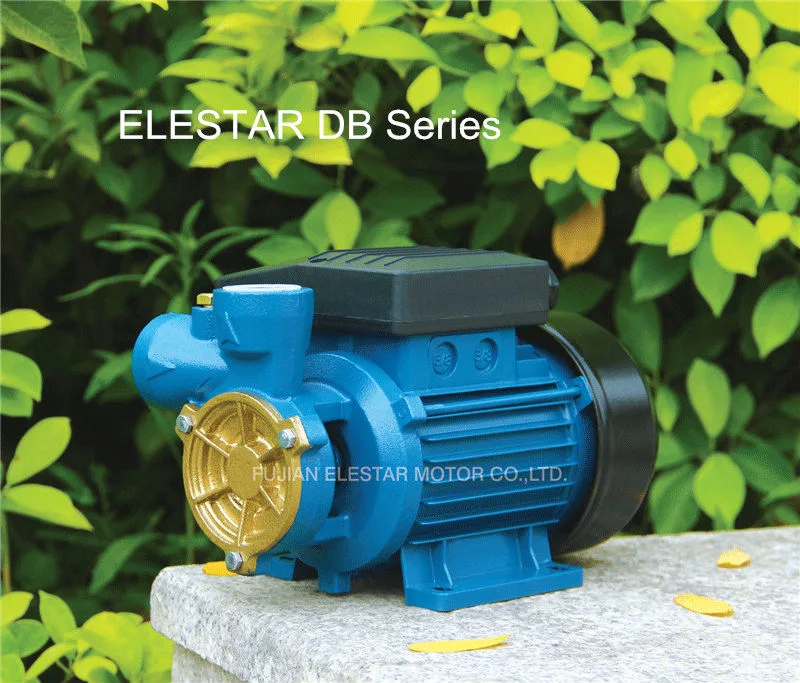Elestar Cheap Sale Electric Single Phase Motor Peripheral Water Pump (dB)