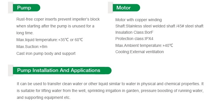 Chimp Household 0.5HP Single Phase dB Vortex Water Pump