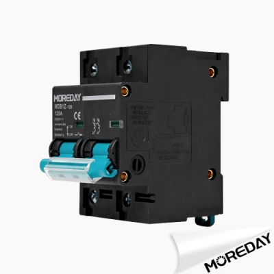 CE 2p 125A 100A 80A DC MCU 600V Автоматический выключатель Для главного выключателя аккумуляторной батареи системы PV