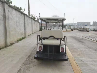  8 Seaters электрический автомобиль на полдня