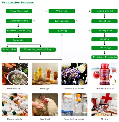 Factory Supply High Quality Notopterygium Root P. E. Powder Extract/ Incised Notopterygium/Rhizoma Seu Radix Notopterygii Extract